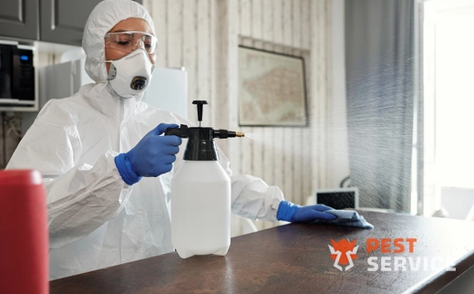 Дезинфекция в Вельске